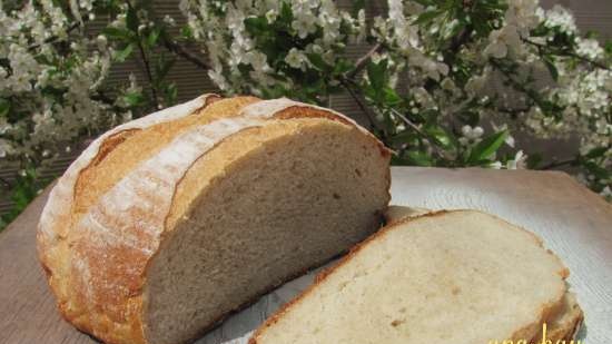 Patata Di Pane