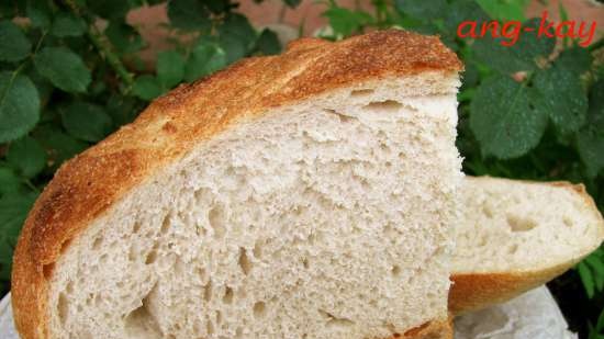 Pane a lievitazione naturale e lievito di frutta con farina d'avena