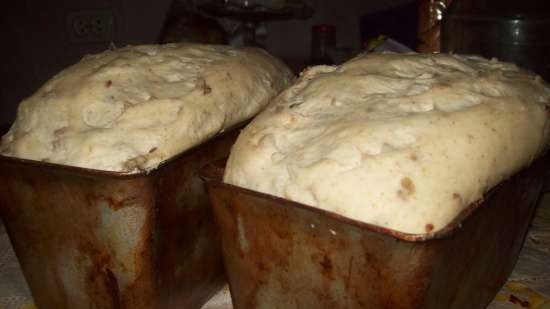 Wheat bread with flax and sunflower seeds (oven)