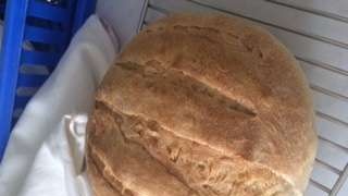 Pane di grano a lunga fermentazione (forno)