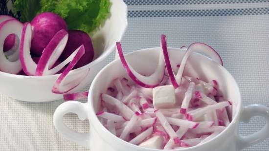 Radish salad with cheese (Radieschenfrischkäse)