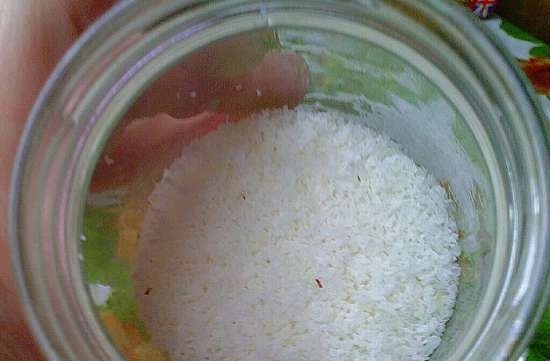 Coconut milk, coconut oil and coconut flakes in a CASO SJW400 auger juicer