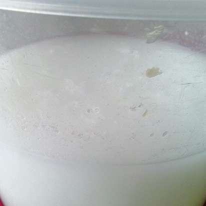 Coconut milk, coconut oil and coconut flakes in a CASO SJW400 auger juicer