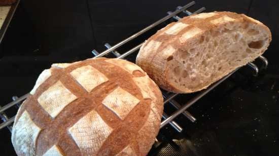 Pan de trigo de masa madre con harina de espelta