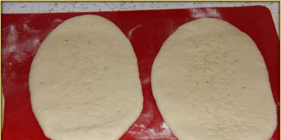 Indian tortillas NAAN (tagagawa ng tinapay + oven)