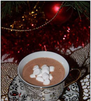 Hot chocolate with red wine (Vitek VT-2620 soup blender)