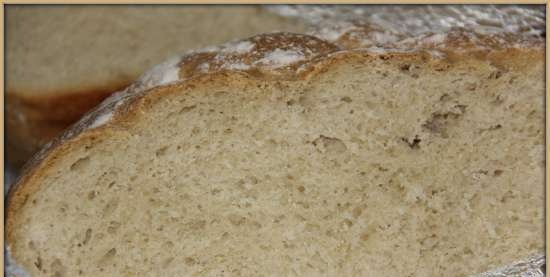 Pane rustico (forno)