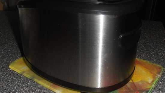 Auger juicer Brand 9100