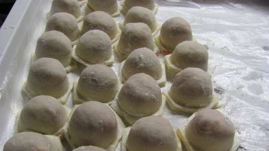 Dumplings and dumplings mold