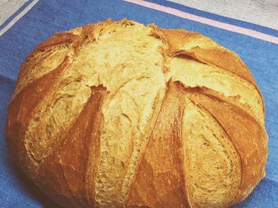 Pane di grano su pasta matura (autolievitazione)