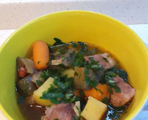 Pot of meat and vegetables with broth