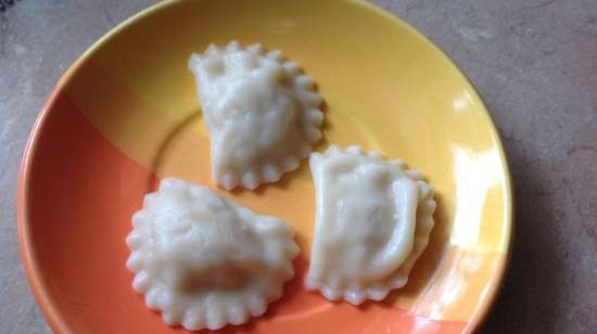 Dumplings en dumplingsvorm