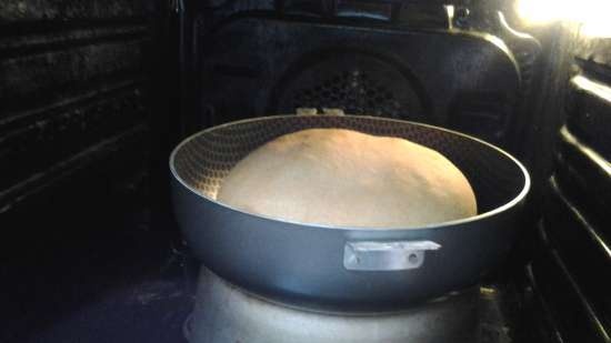 Pane di segale e grano su pasta acida (vecchia) (forno)