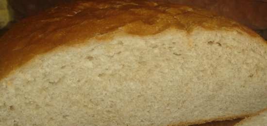 Light Wheat Whole Grain Bread by Peter Reinhart