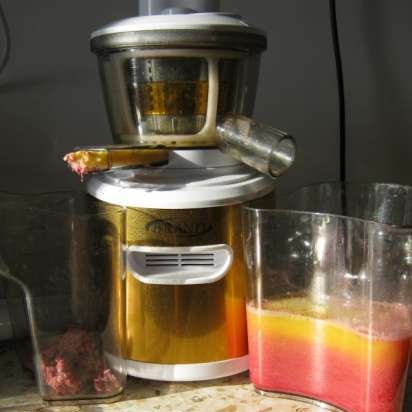 Vijzel juicer merk 9100