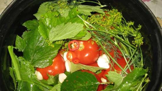 Licht gezouten tomaten