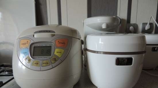 Multicooker Redmond RMC-01