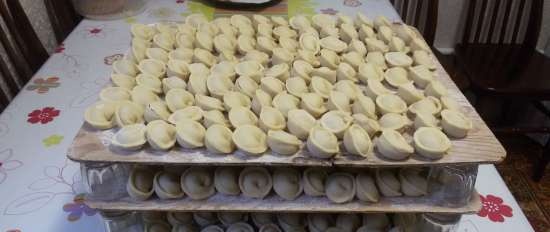 Poll: Do you need a dumpling machine for the width of a dough sheeter-noodle cutter?