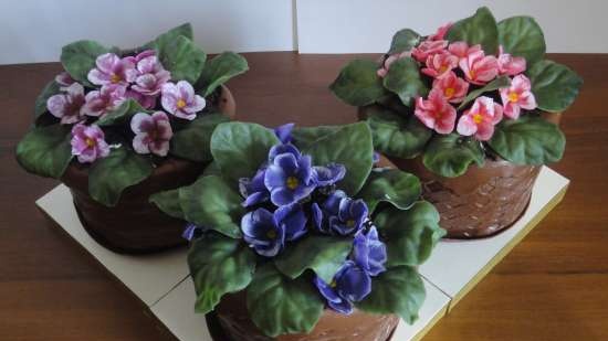 Torte di fiori