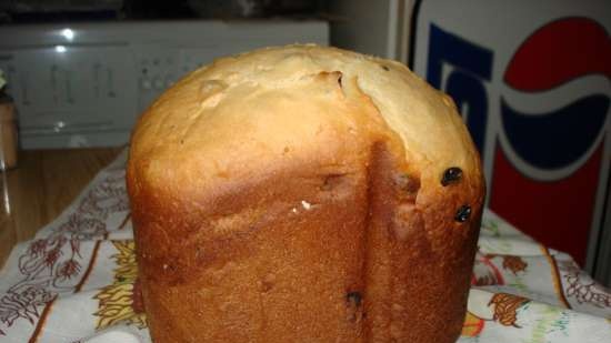 Kulich Koninklijke spelbreker in een broodbakmachine