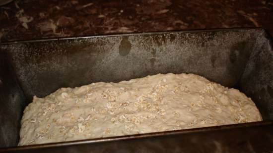 Pane d'avena finlandese (forno)