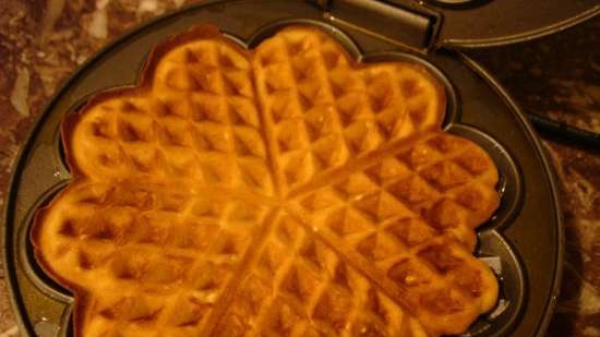 Sunny waffles-cookies with cinnamon