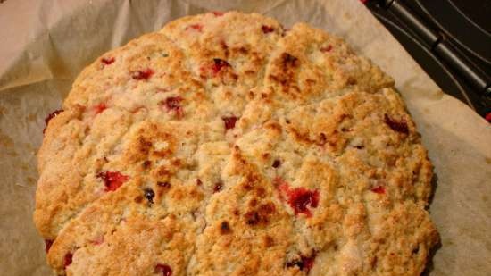 Scones met granaatappel (pizzamakers Princess 115000)