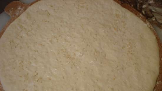 Impasto per tortillas, pizza, khachapuri in 5 minuti al giorno