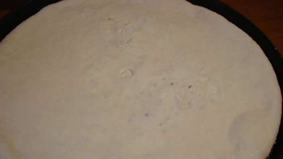 Impasto per tortillas, pizza, khachapuri in 5 minuti al giorno