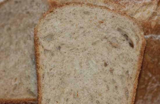 Pan de trigo con forma de manzana (horno)