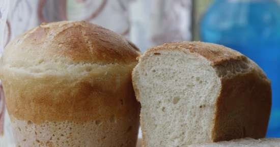 Pane di grano su pasta matura (autolievitazione)