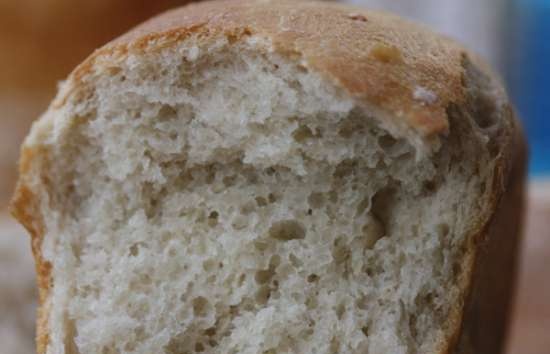 Pane di grano su pasta matura (autolievitazione)