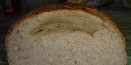 Pain de Campagne door Peter Reinhart (oven)