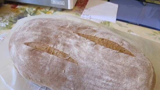 Pan di Spagna alla contadina in una macchina per il pane