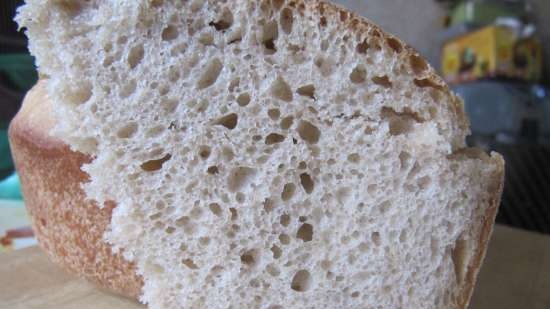 Pane di grano "Lacy" con lievito madre