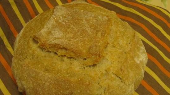 Plain Wheat Sourdough Corn Flour Bread