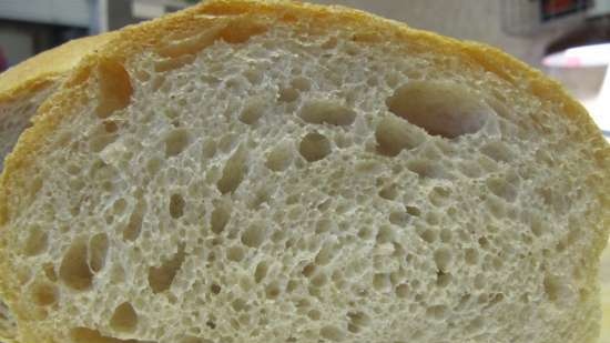 Pan de trigo de masa madre