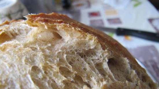 Pane a lievitazione naturale con birra scura