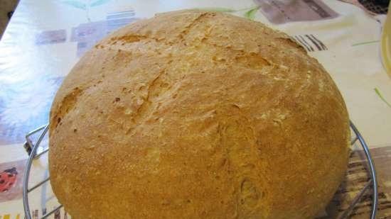 Polenta bread