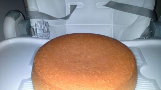 Torta semisotik (multicooker Bork U700)