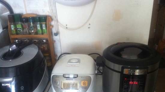 Choosing a slow cooker, pressure cooker, rice cooker (2)