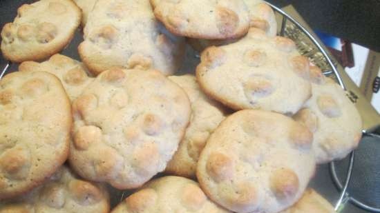 Chocolade bedekte hazelnootkoekjes