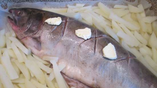 Salmón al horno en aceite de limón y ajo