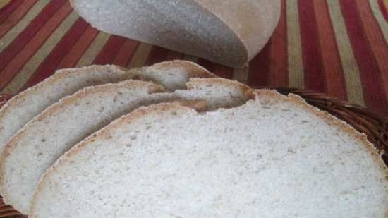 Pane di segale e grano per principianti (al forno)