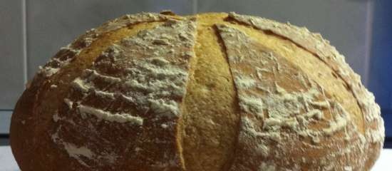 Pane di grano sul poolish (Ciril Hitz)