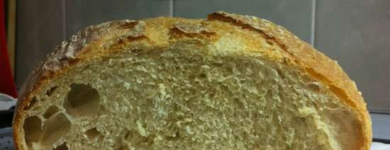 Pane di grano sul poolish (Ciril Hitz)