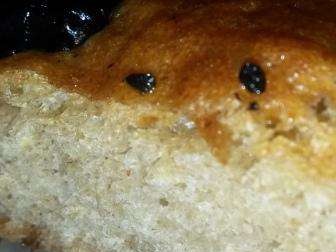 Focaccia budyniowa wieloziarnista