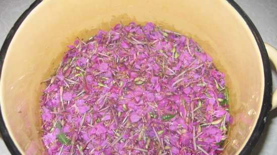 Miele di Fireweed