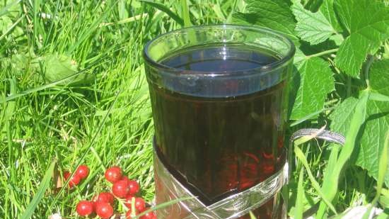 Fermented tea made from leaves of garden and wild plants (master class)