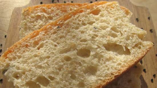 Bread Sourdough slabs with pumpkin puree and seeds